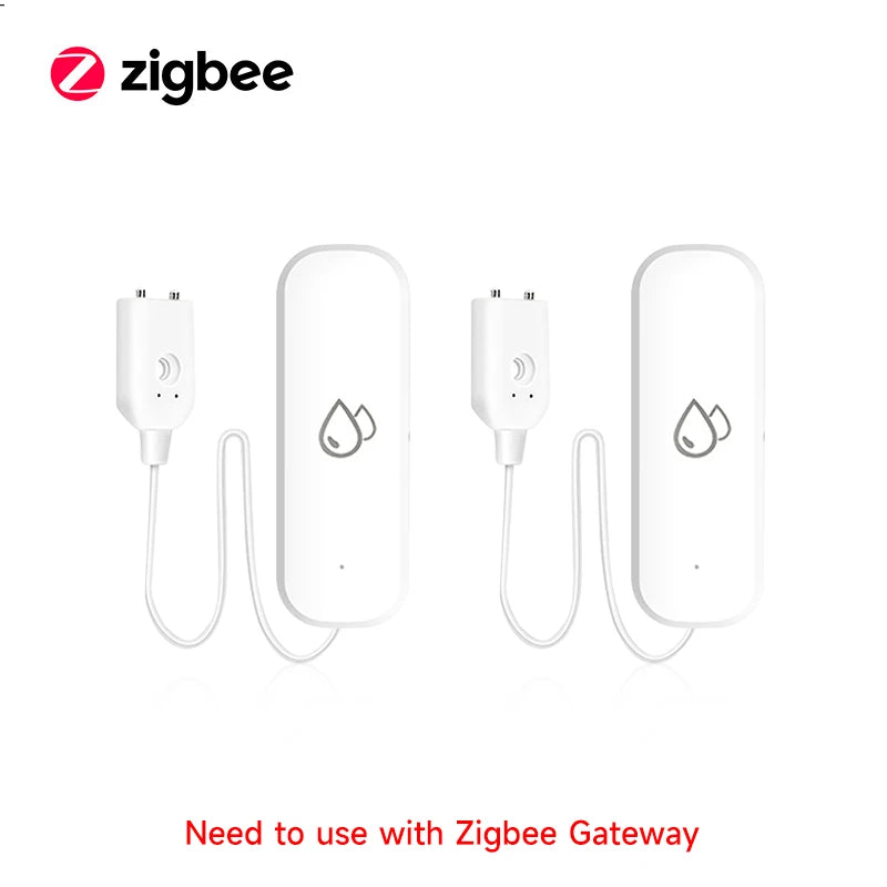 S020f678c77bf4b3db93e2635d2e2c6bfg