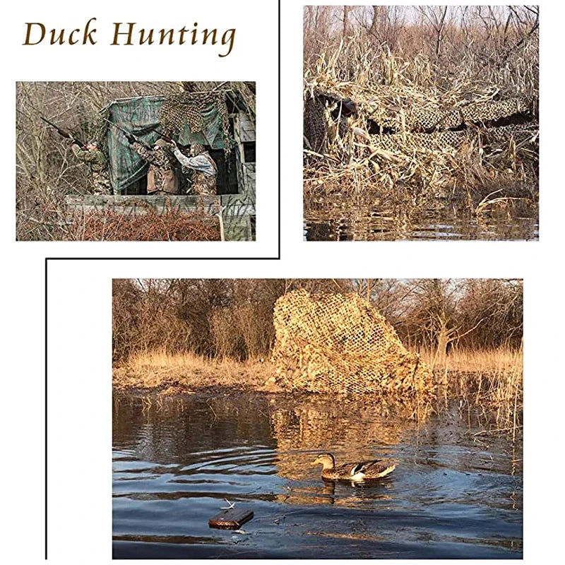 S02ce6cac11ed499d8a467da4257a69b4f