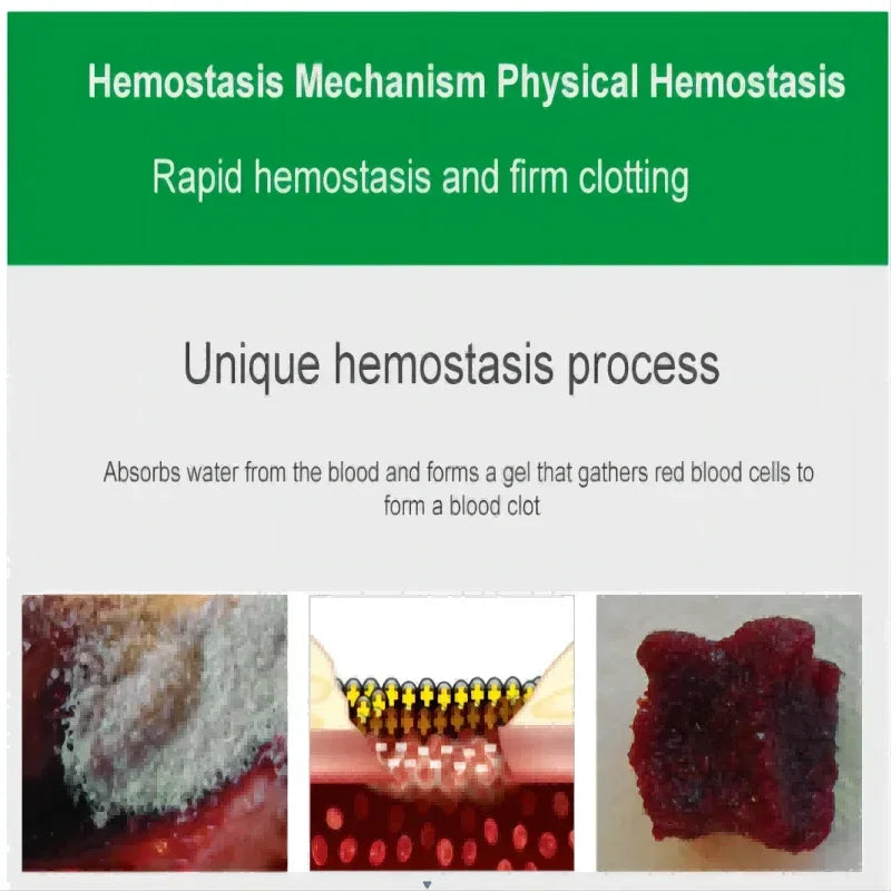 S717dcacac9224515b16a893987fd36c6L