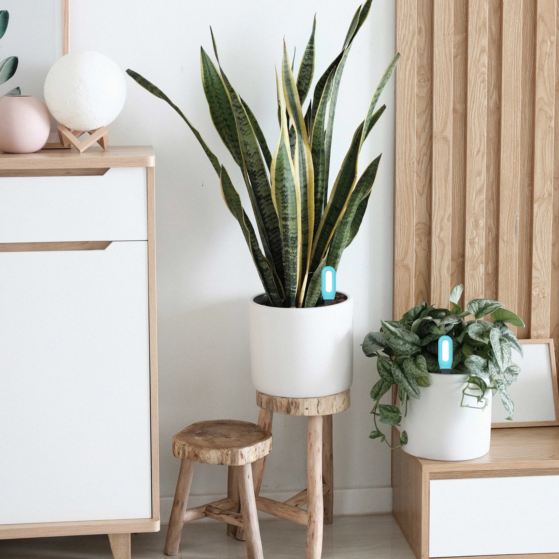 S845865992a634f7483109f84665ef3d2H